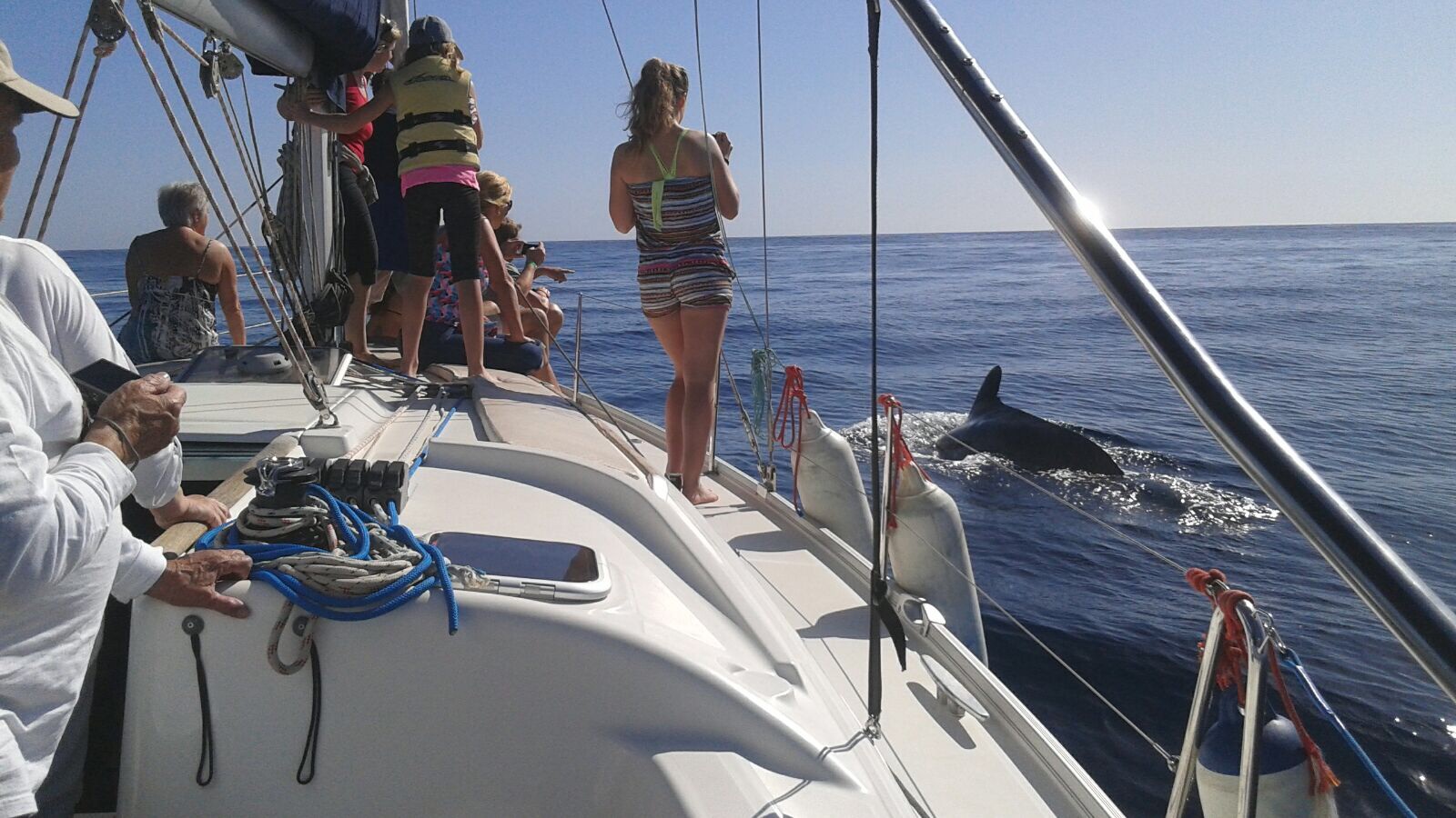 charter-privado-excursiones-de-barco-en-tenerife