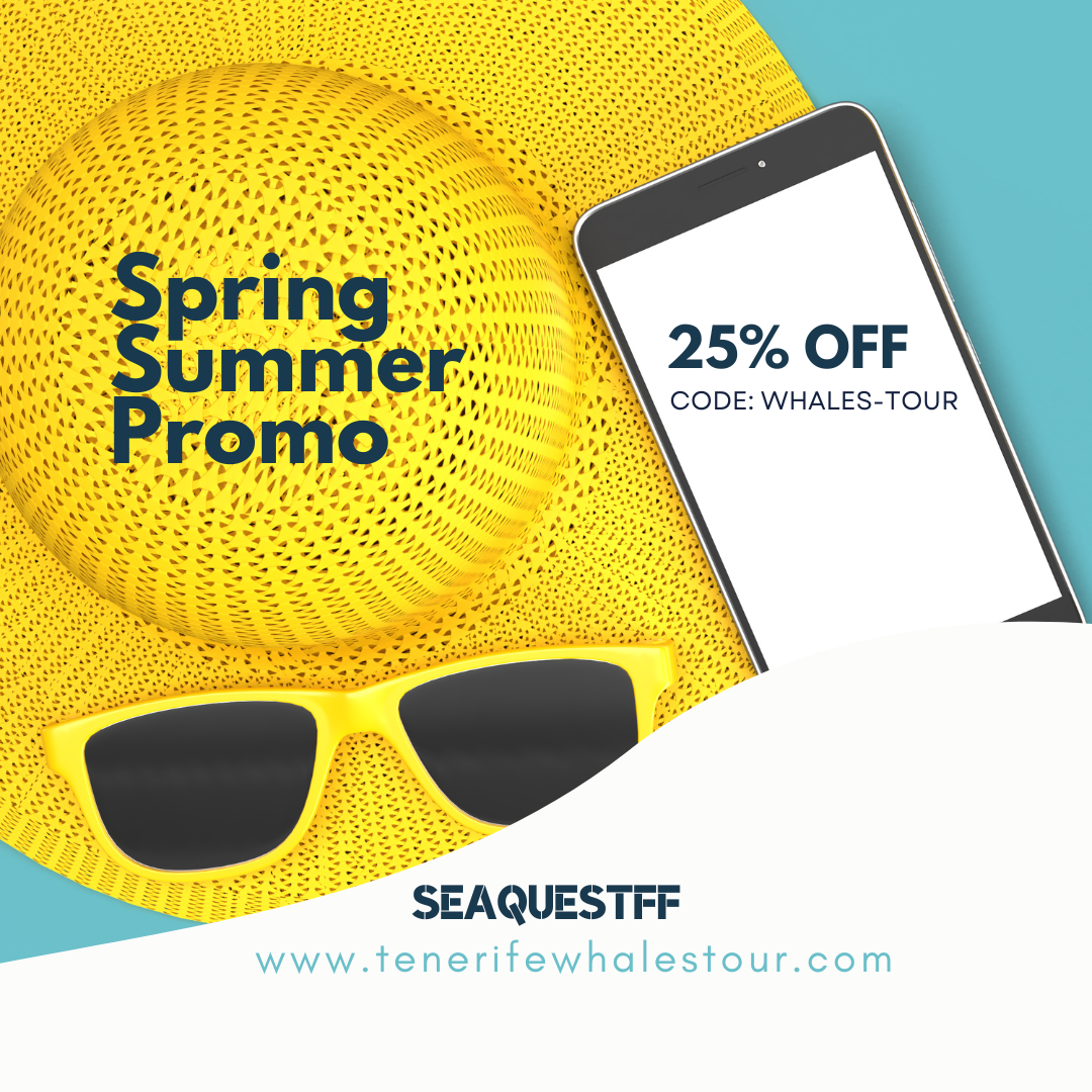 book online this spring summer